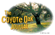 The Coyote Oak Journal - Nature notes, queries and commentary