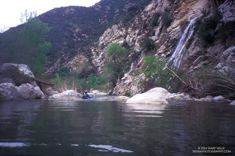 During the rainy season, streams cascade into the river at several points, accentuating Piru Creek's dramatic canyons and unique character.