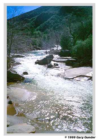 The river upstream of Hydroglyphics