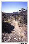 Will Rogers section of Backbone Trail. (Southern California)