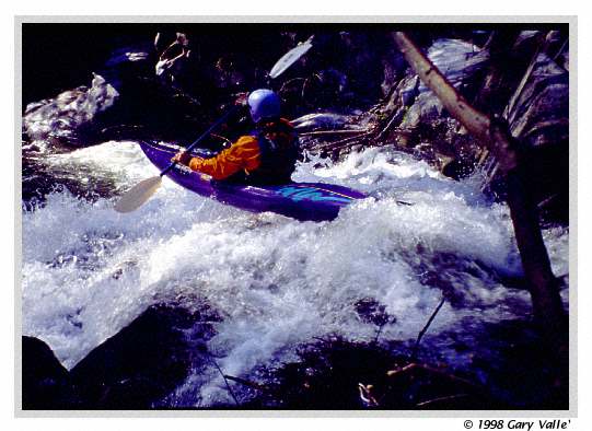 CREEKING, Yucca Creek, Nutcracker