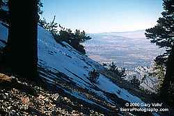 Snow on Mt. Baden-Powell