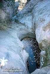 Standing Water in Simi Hills 12/25/00