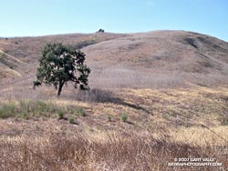 Sun Parched Hills at Ahmanson Ranch.