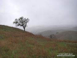 Rainshowers at Ahmanson Ranch 