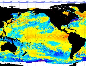 NOAA/NESDIS 50km SST Anomaly 11/06/2006