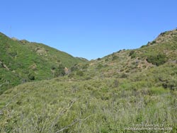 Upper Las Virgenes Canyon, May 1, 2011