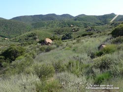 Dayton Canyon, May 3, 2011