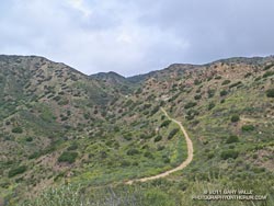 Upper Palo Comado Canyon, May 8, 2011