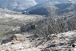 Dayton Canyon, October 7, 2005 (T+9)