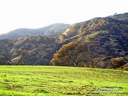 First Sprouts of Grass at Ahmanson Ranch, October 25, 2005 (T+27)