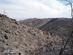 Barren slopes north of Simi Peak, October 16, 2005 (T+18)