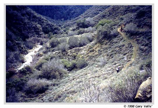 Switchbacking down to Judell Creek