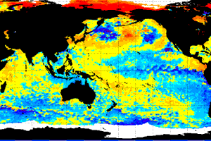NOAA SST Anomaly - 08/23/07